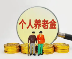2022年中国个人养老金行业市场全景评估及发展趋势研究预测