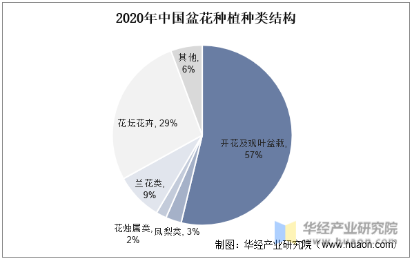2020年中国盆花种植种类结构