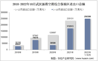 2022年10月武汉新港空港综合保税区进出口总额及进出口差额统计分析