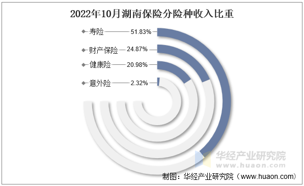 2022年10月湖南保险分险种收入比重