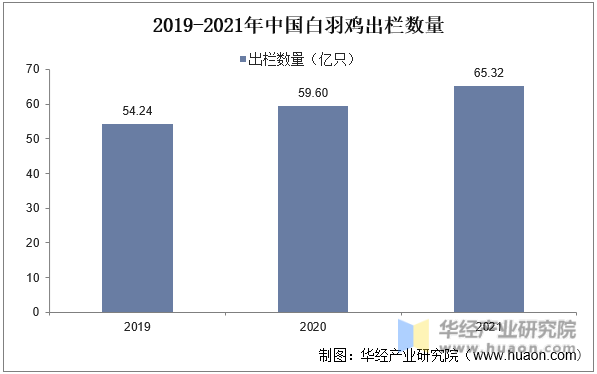 2019-2021年中国白羽鸡出栏数量