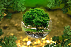 晶宇环境冲刺创业板IPO：净利润小幅下降，肖龙博为最大股东