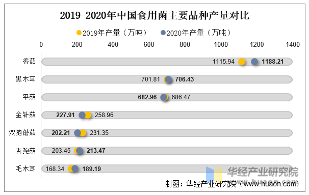 2019-2020年中国食用菌主要品种产量对比