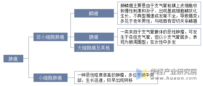 肺癌分类