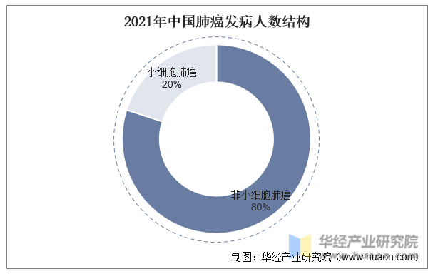 2021年中国肺癌发病人数结构