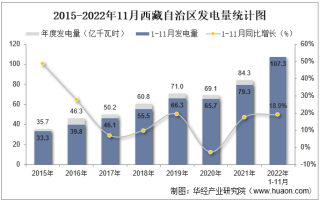 2022年11月西藏自治区发电量及发电结构统计分析