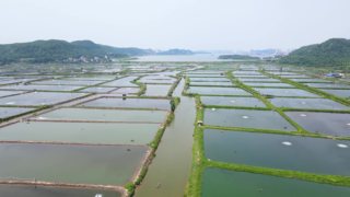 2022年中国稻渔产业现状简析,政策推动各省市种养面积和产量持续扩张「图」