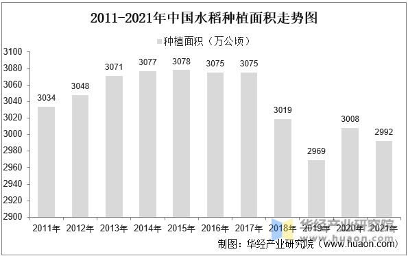 2011-2021年中国水稻种植面积走势图