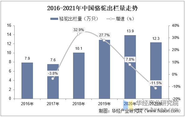 2016-2021年中国骆驼出栏量走势