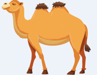 2022年中国骆驼养殖产业现状，存栏大增，出栏下降，骆驼奶规模快速增长「图」