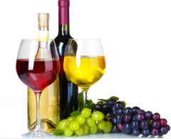 潜力巨大的国内消费市场，中国葡萄酒业发展前景广阔