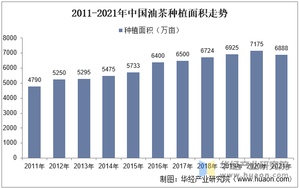2011-2021年中国油茶种植面积走势