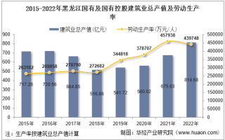 2022年黑龙江省国有及国有控股建筑业企业总产值、企业概况及各产业竣工情况统计分析