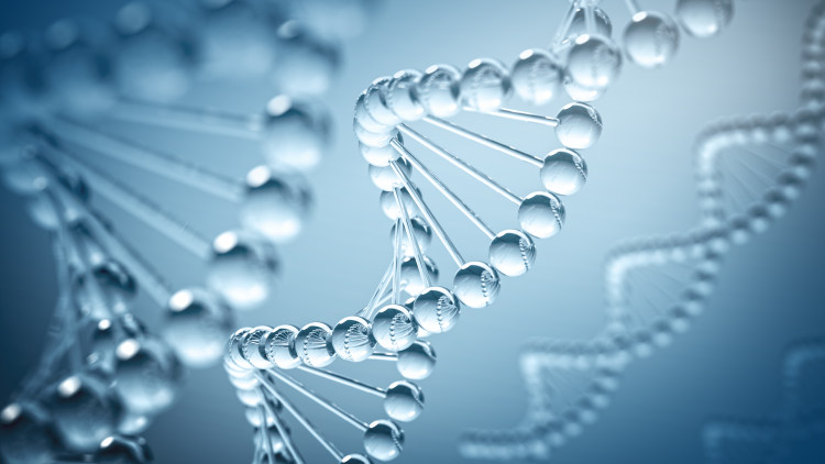 千库网_DNA染色体基因螺旋形生物科学_摄影图编号285457