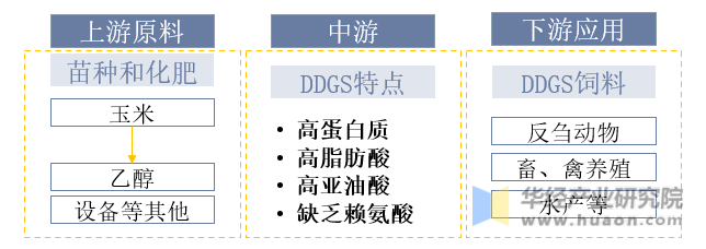 DDGS产业链示意图
