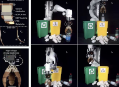 軟體機器人邁向綠色：可生物降解人造肌肉問世