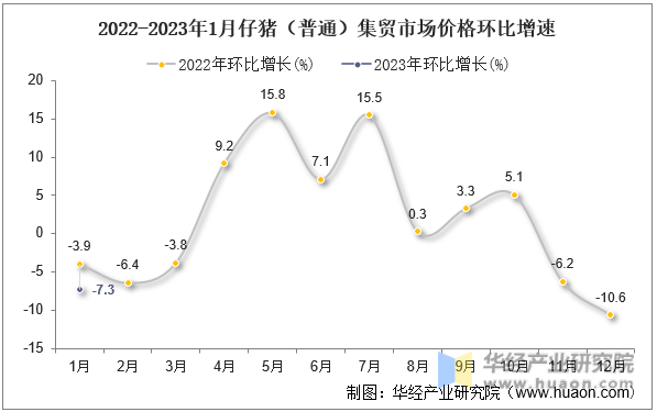2022-2023年1月仔猪（普通）集贸市场价格环比增速