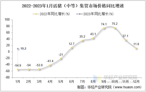 2022-2023年1月活猪（中等）集贸市场价格同比增速