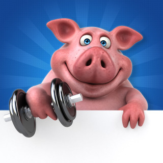 因身形健硕、肌肉发达，迥异于肥头大耳的刻板形象，近日“健身猪”走红网络，一头猪最高能卖8万元