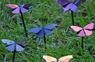 受蝴蝶翅膀启发的最轻涂料制成，有助于节能和减缓全球变暖