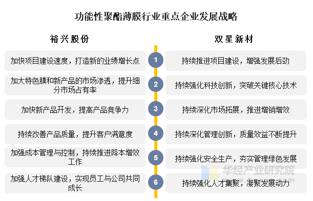 功能性聚酯薄膜行业重点企业发展战略