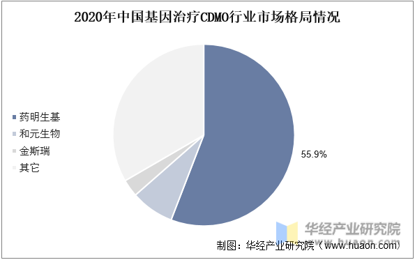 2020年中国基因治疗CDMO行业市场格局情况