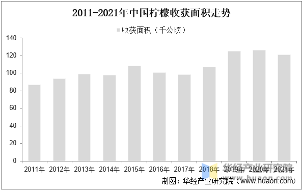 2011-2021年中国柠檬收获面积走势