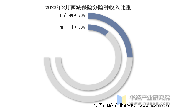 2023年2月西藏保险分险种收入比重