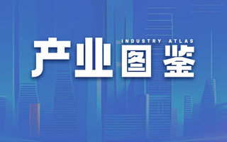 2022年中国铬盐产业全景图鉴