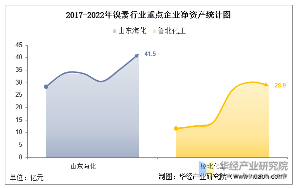 2017-2022年溴素行业重点企业净资产统计图