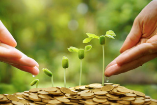 2022年中国植物保护(植保)产业现状,不断增长的粮食需求是需求关键「图」