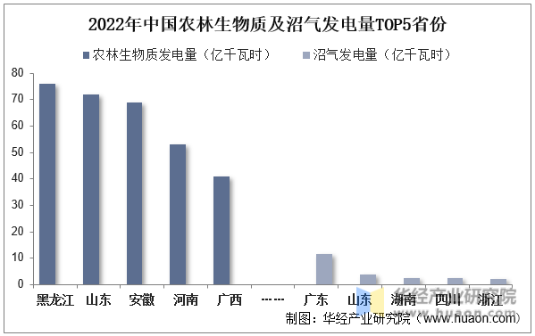 2022年中国农林生物质及沼气发电量TOP5省份