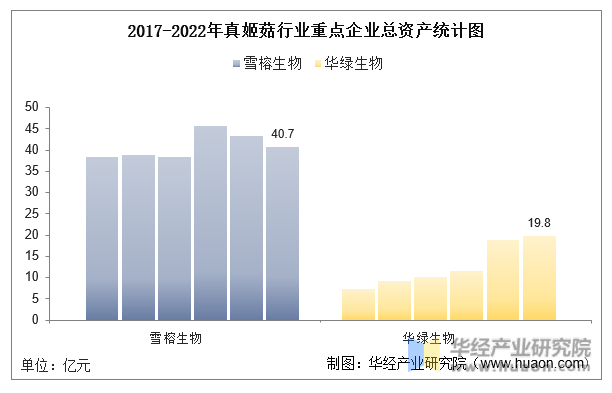 2017-2022年真姬菇行业重点企业总资产统计图