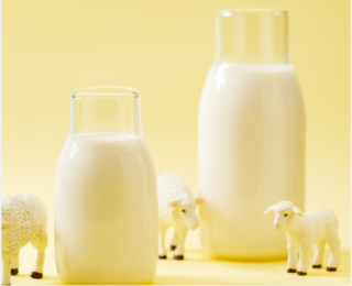 2023年中国羊奶行业市场调研分析及投资战略咨询