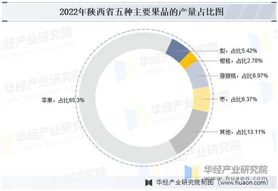 2022年陕西省五种主要果品的产量占比图