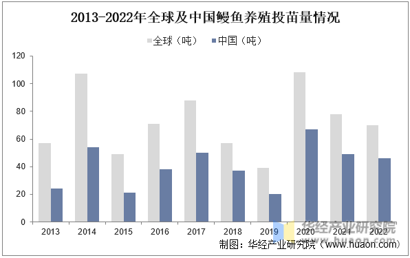 2013-2022年全球及中国鳗鱼养殖投苗量情况