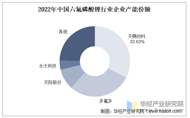 2022年中国六氟磷酸锂行业企业产能份额