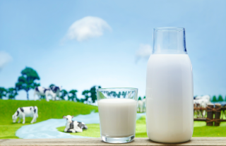 百菲乳业向沪市主板发起冲刺，网红水牛奶业绩增长面临挑战