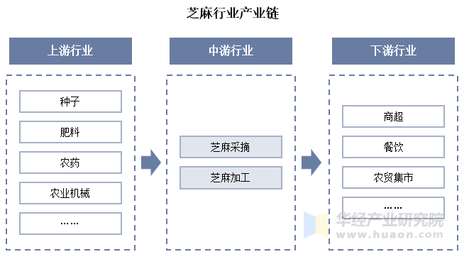 芝麻行业产业链