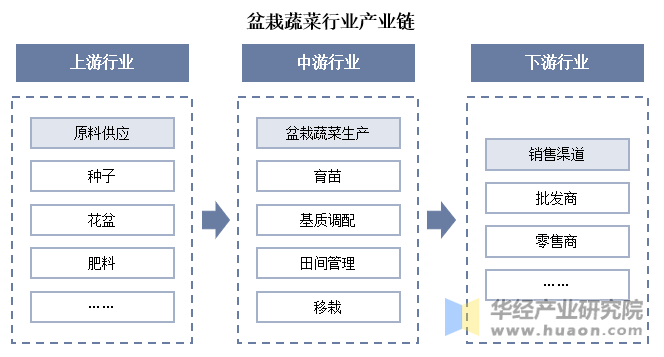 盆栽蔬菜行业产业链