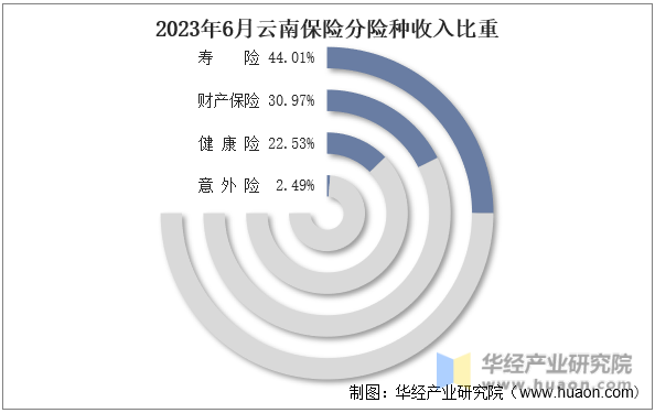 2023年6月云南保险分险种收入比重