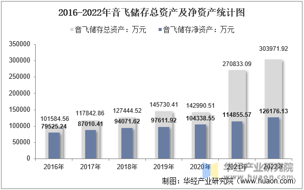 2016-2022年音飞储存总资产及净资产统计图