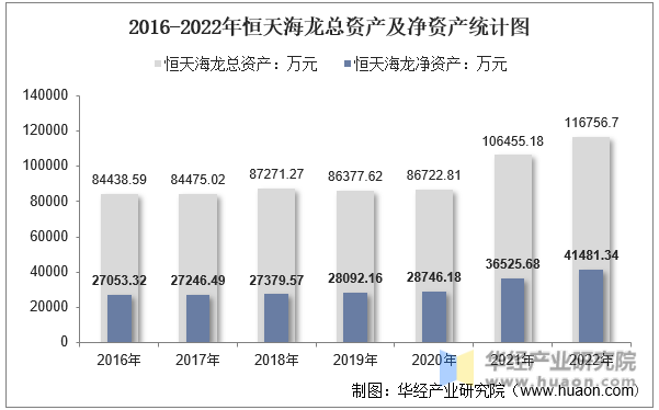 2016-2022年恒天海龙总资产及净资产统计图
