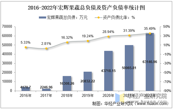 2016-2022年宏辉果蔬总负债及资产负债率统计图