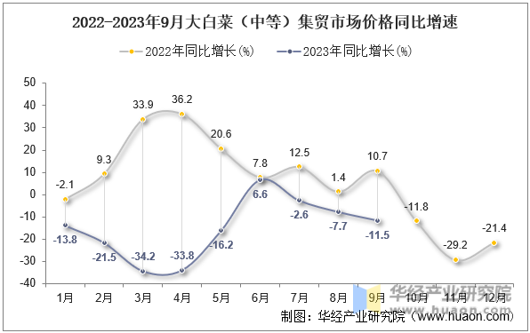 2022-2023年9月大白菜（中等）集贸市场价格同比增速