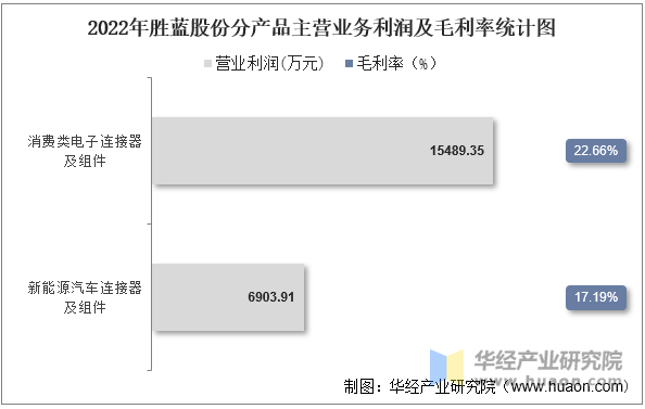 2022年胜蓝股份分产品主营业务利润及毛利率统计图