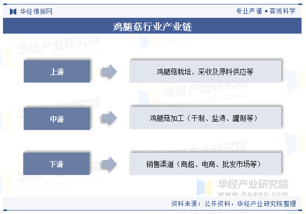 鸡腿菇行业产业链