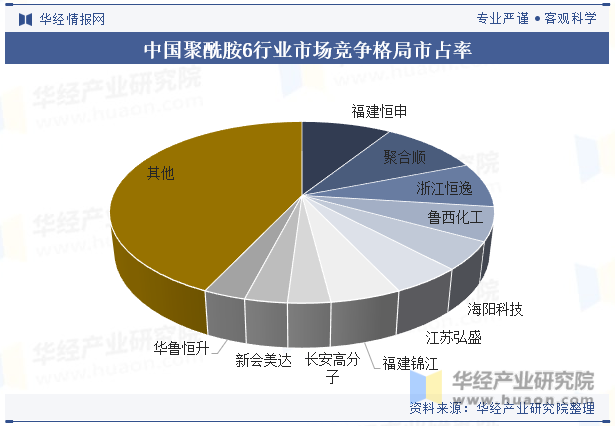 中国聚酰胺6行业市场竞争格局市占率
