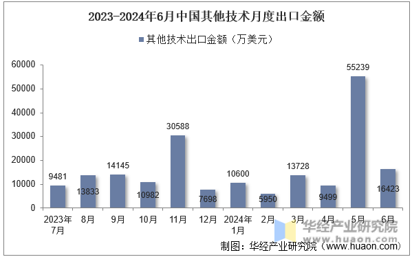 2023-2024年6月中国其他技术月度出口金额
