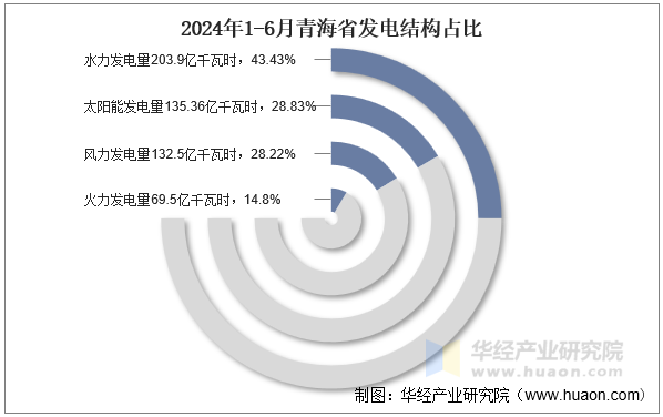 2024年1-6月青海省发电结构占比